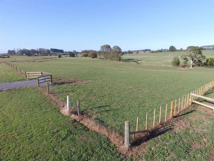 Taukoro Road Morrinsville_3