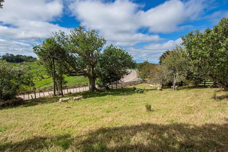 1080 Snooks Road Maungakaramea_4