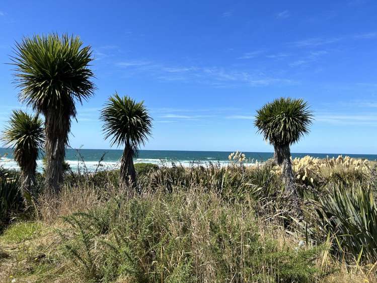 239a Moturata Road 2492_15