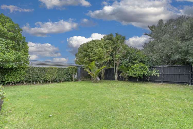 6 Ward Terrace Sandringham_9