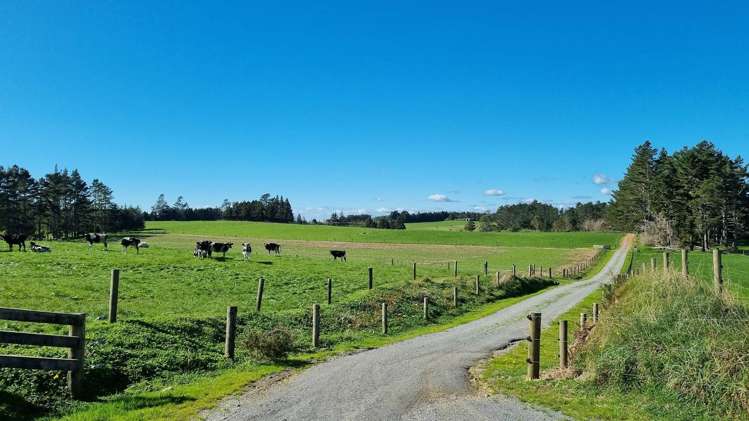 00 Waiare Road Kerikeri_5