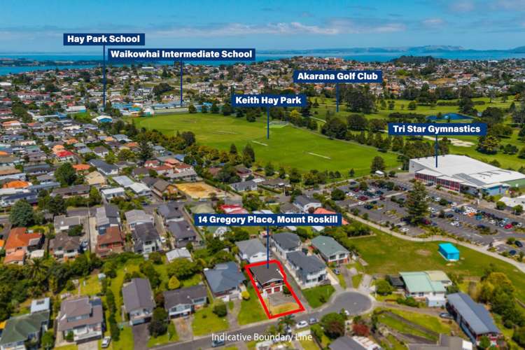 14 Gregory Place Hillsborough_15