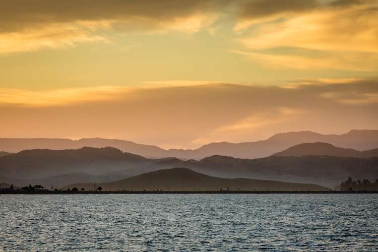 9 Whakarire Avenue Westshore_21