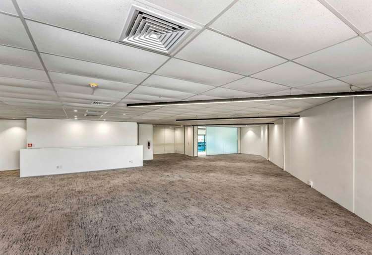 19 Edwin Street Mount Eden_5
