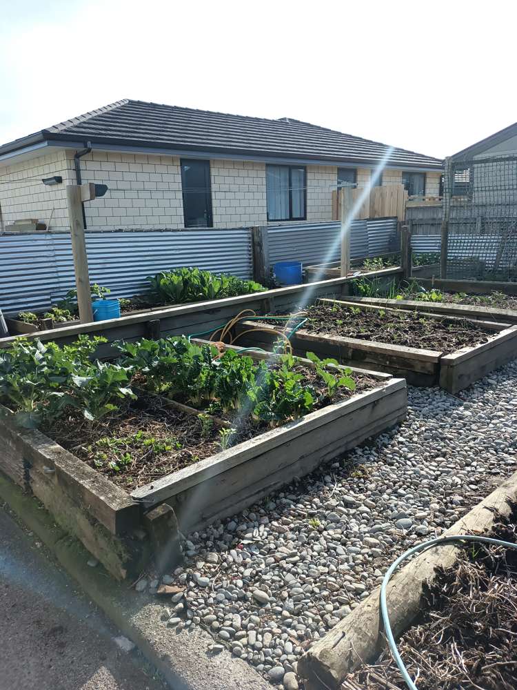 57 Lyndhurst Street Westport_19