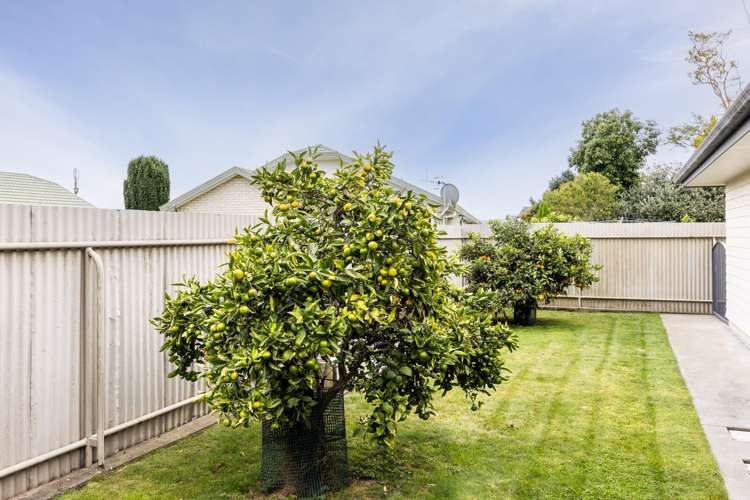 810a Cook Place Raureka_13