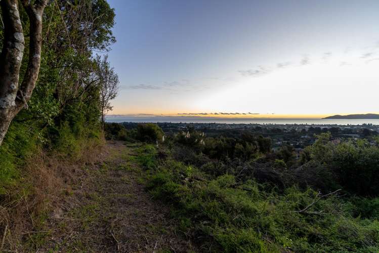 3 Ridgeview Lane Paraparaumu_25