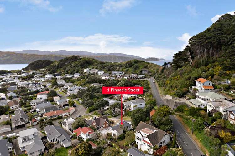 1 Pinnacle Street Seatoun_22