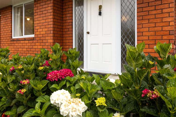 176 Weld Street Witherlea_2