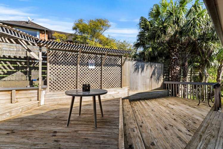 28 Carlton Street Hillsborough_17