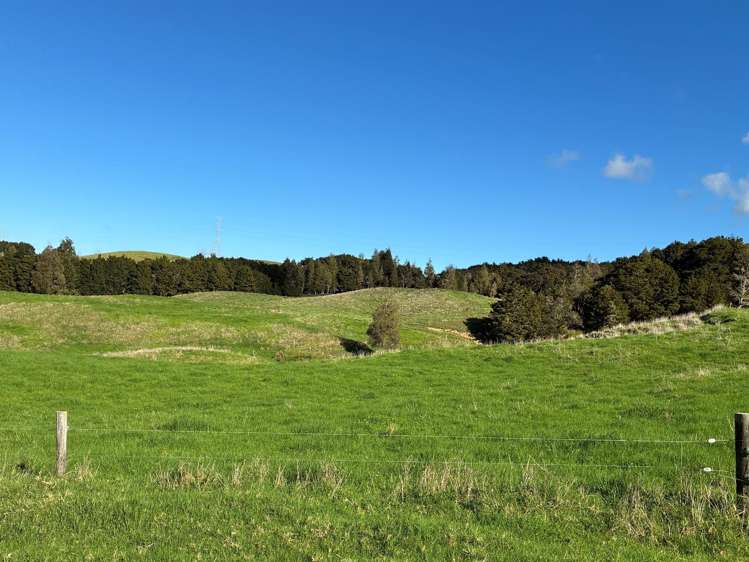 Paparoa Road_5
