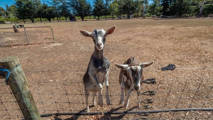 212 Larcombs Road Rolleston_43