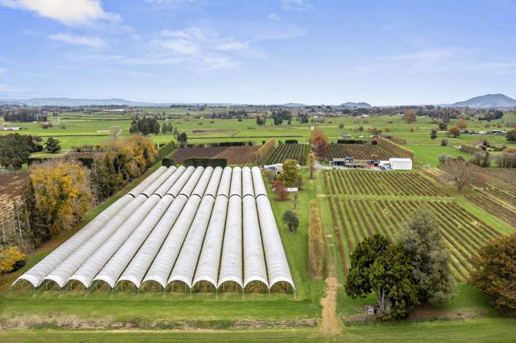 1972 Te Rahu Road Te Awamutu_8