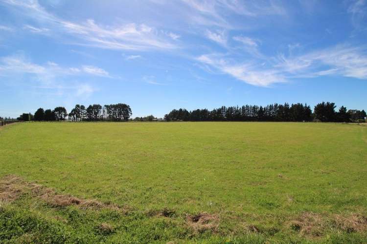 112 Calico Line Marton_68