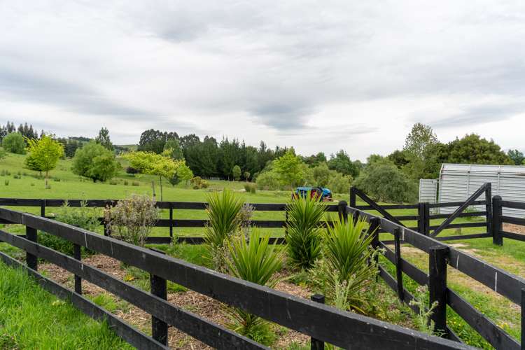 117 Lees Pakaraka Road Masterton_9