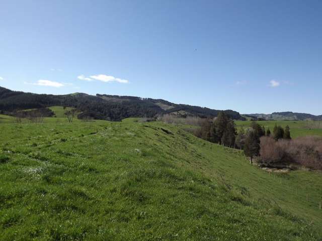 9 Mangakino Road Raglan_1