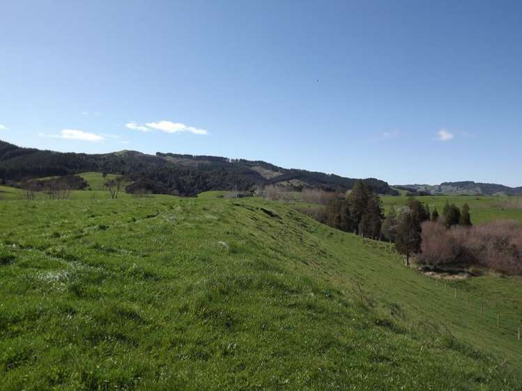 9 Mangakino Road Raglan_1