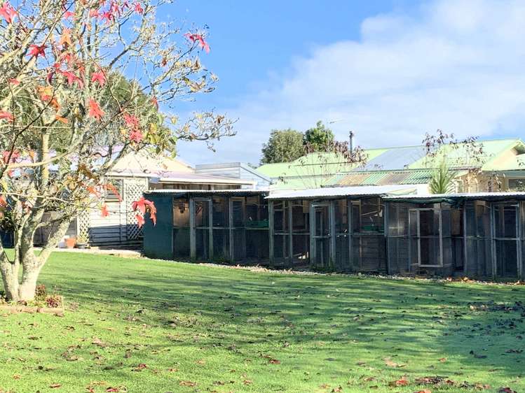 210 Coulter Road Te Awamutu_7