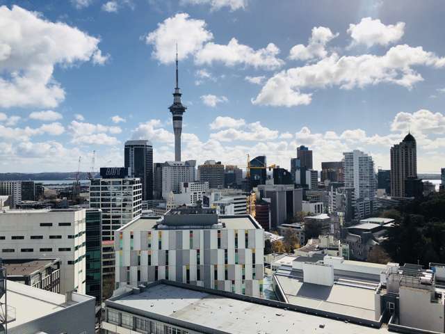 14B/15 Mount Street Auckland Central_4