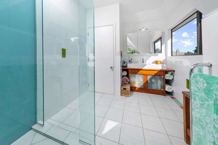 328 Horseshoe Bush Road Dairy Flat_17