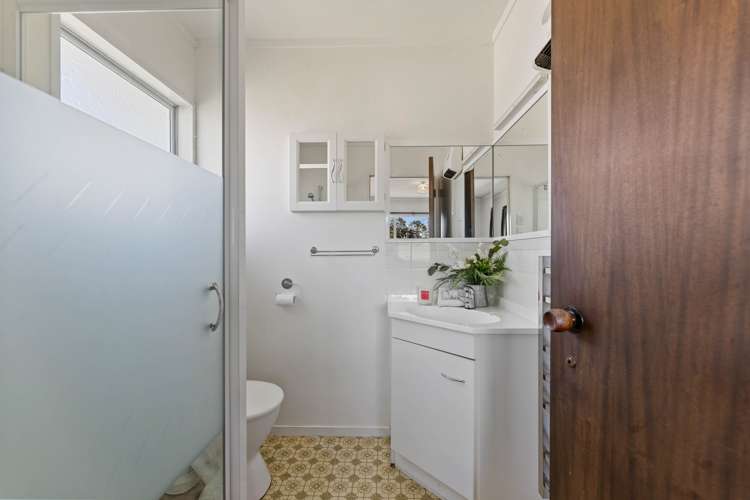 96 Collie Road Te Kowhai_12