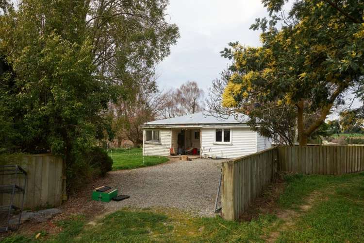 98 Fosters Road Cheviot_22