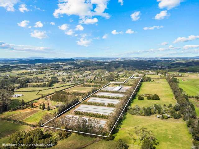 126 Wiroa Road Kerikeri_3