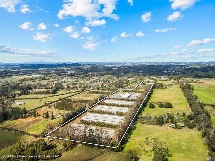 126 Wiroa Road Kerikeri_3