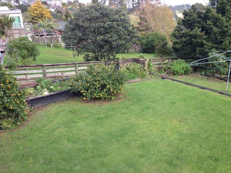 482 Don Buck Road Massey_15