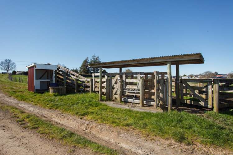 Morrinsville-Tahuna Road Morrinsville_12