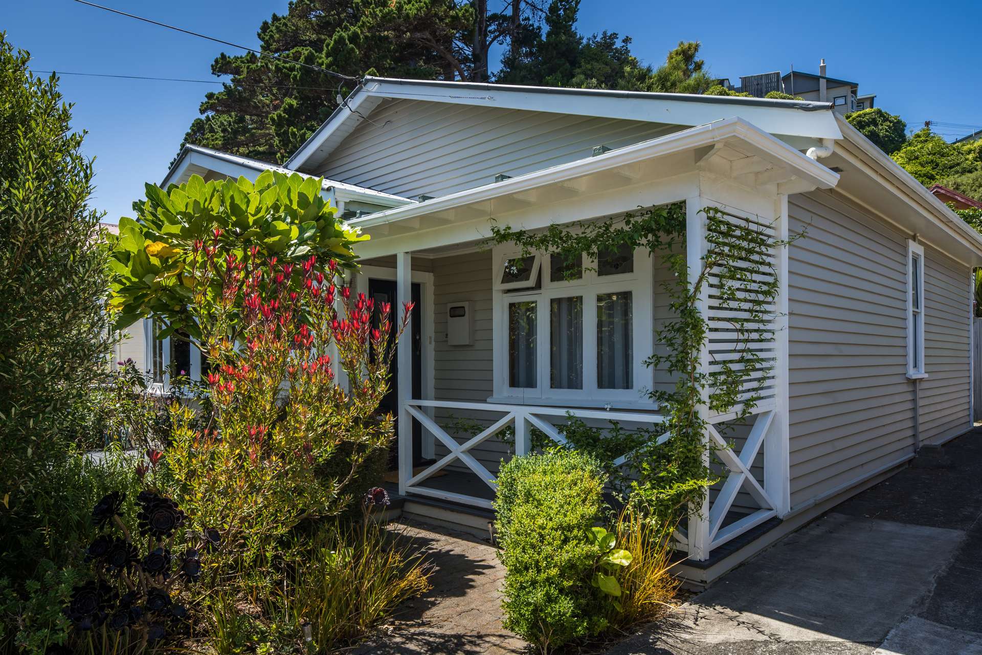 26 Darlington Road Miramar_0