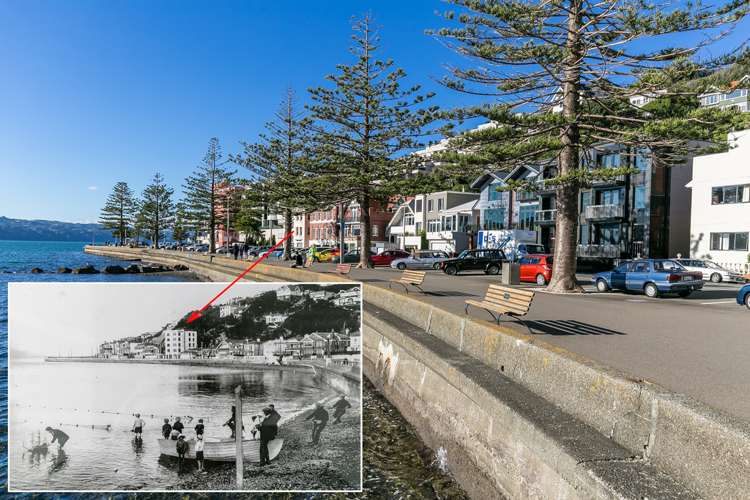 4/306 Oriental Parade Oriental Bay_15