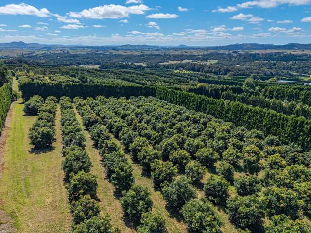 88 Stone Wall Rse Maungatapere_2