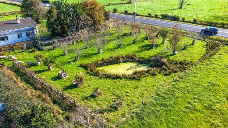6736 Wilson Road Paeroa_21