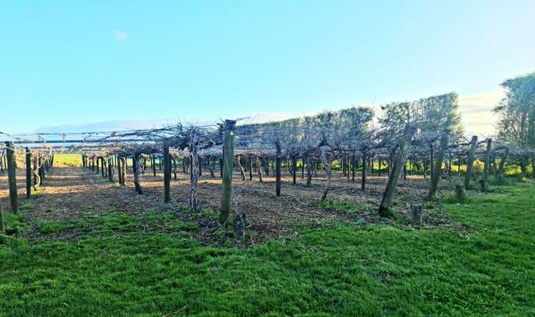 726 Old Coach Road Pongakawa_16