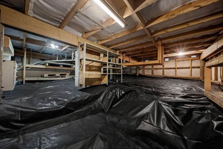 7 Hassan Drive Massey_19