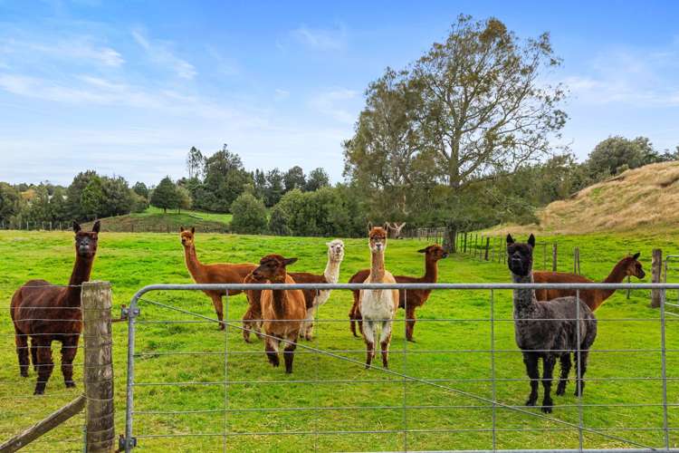 1706 Oropi Road Oropi_32