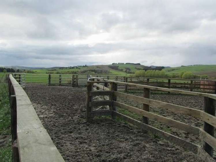 341 Hokonui School Road Winton Surrounds_9