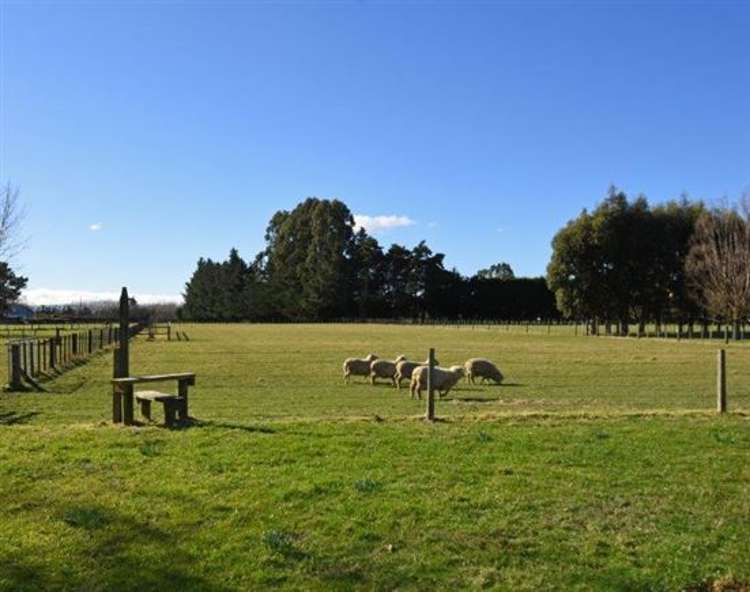 48 Donalds Road Upper Plain_19