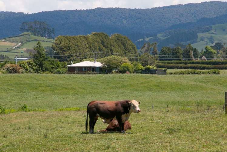 305 Waihi Beach Road Waihi_17