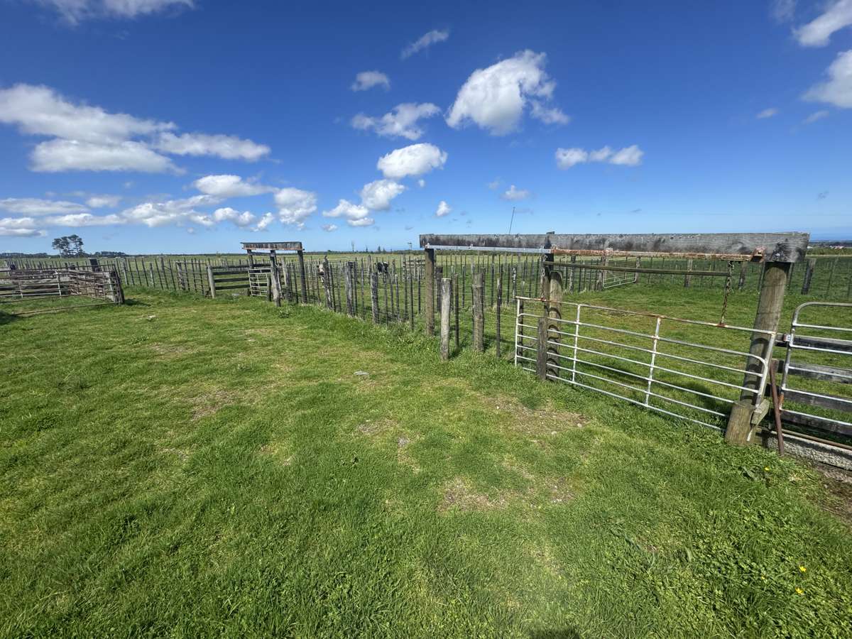 1110 Kaweora Road_3