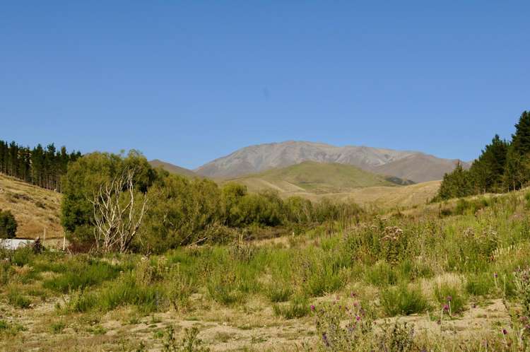 Diggers Gully Road Kurow_22