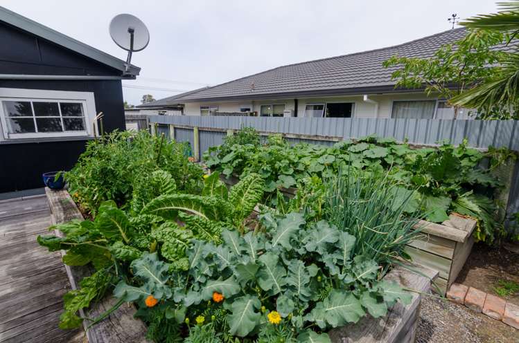 184 Dixon Street Masterton_25