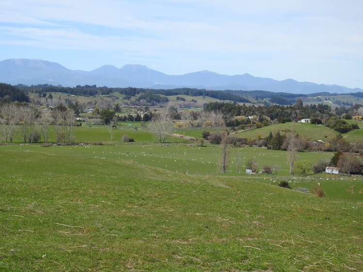 146 Old House Road Upper Moutere_5