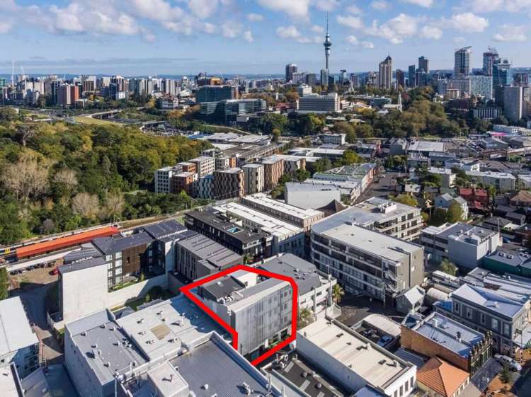 7 Falcon Street Parnell_6