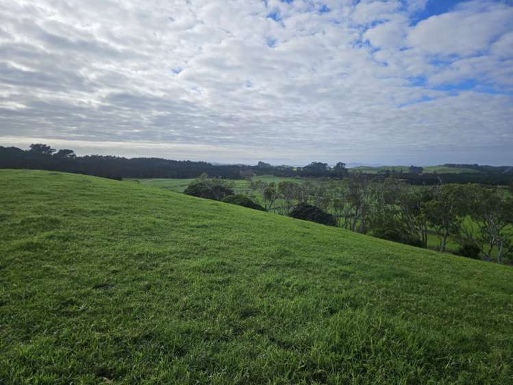 2299 State Highway 1 Waiharara_21