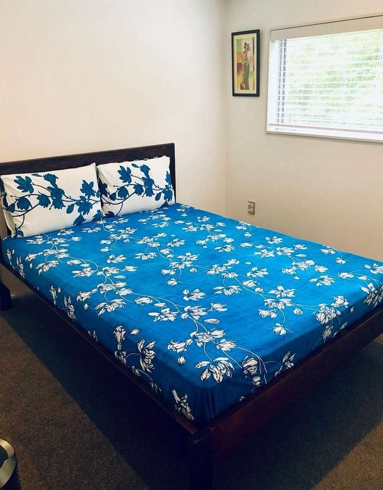 49 Saddleback Grove Karori_6