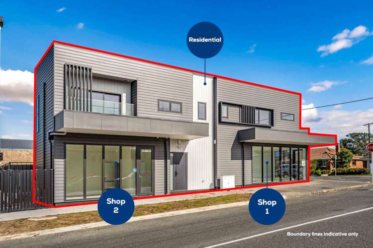 138 Marsden Avenue Mt Eden_7