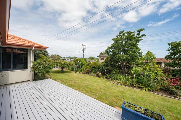 457 Suffolk Road Stoke_8