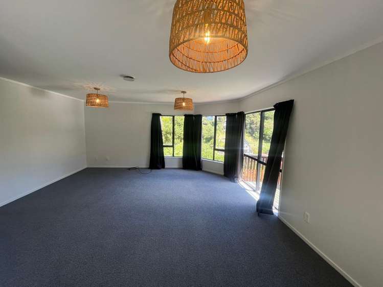 48 Norway Street Aro Valley_11
